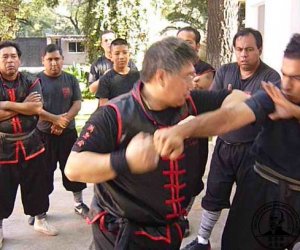 Sifu Lane Louie demostrando tecnica de Kan Na Sau en Seminario de Mexico 2010