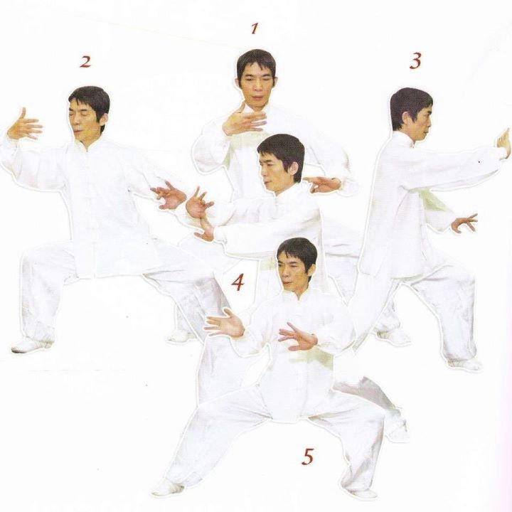 Lohan Qigong Sistema Choy Lee Fut de la Familia Chan