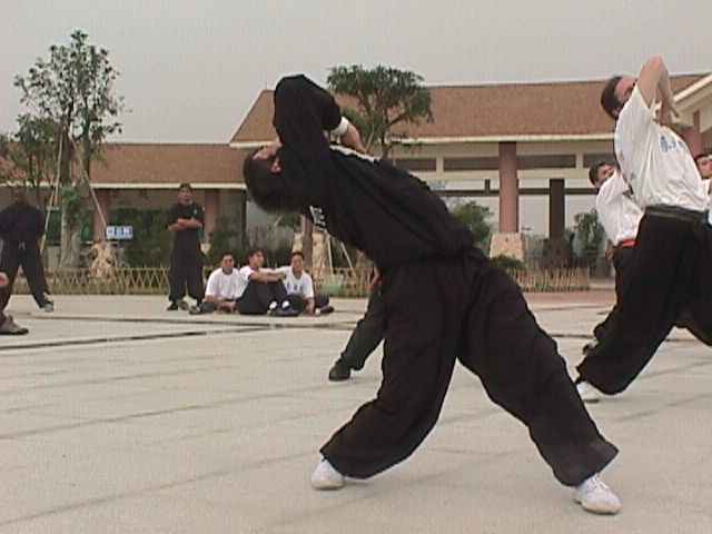 Maestro Chen Yong Fa Lohan Qigong 18 manos de Lohan - Choy Lee Fut Costa Rica