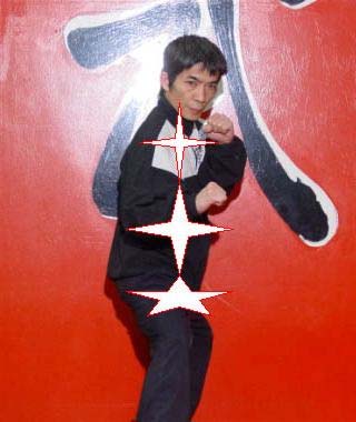 Maestro Chen Yong Fa Teoria de las Puertas