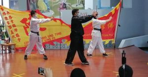 lohan-qigong-dia-mundial-tai-chi-chuan-qigong-escuela-choy-lee-fut_copy_1